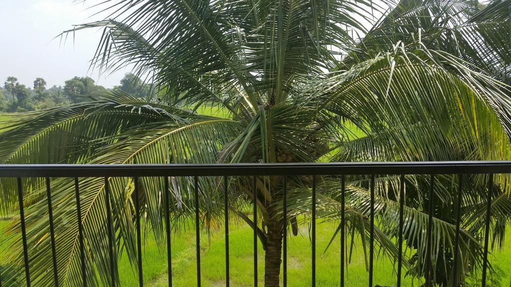 Hotel Serene View Tourist Rest à Anurâdhapura Extérieur photo