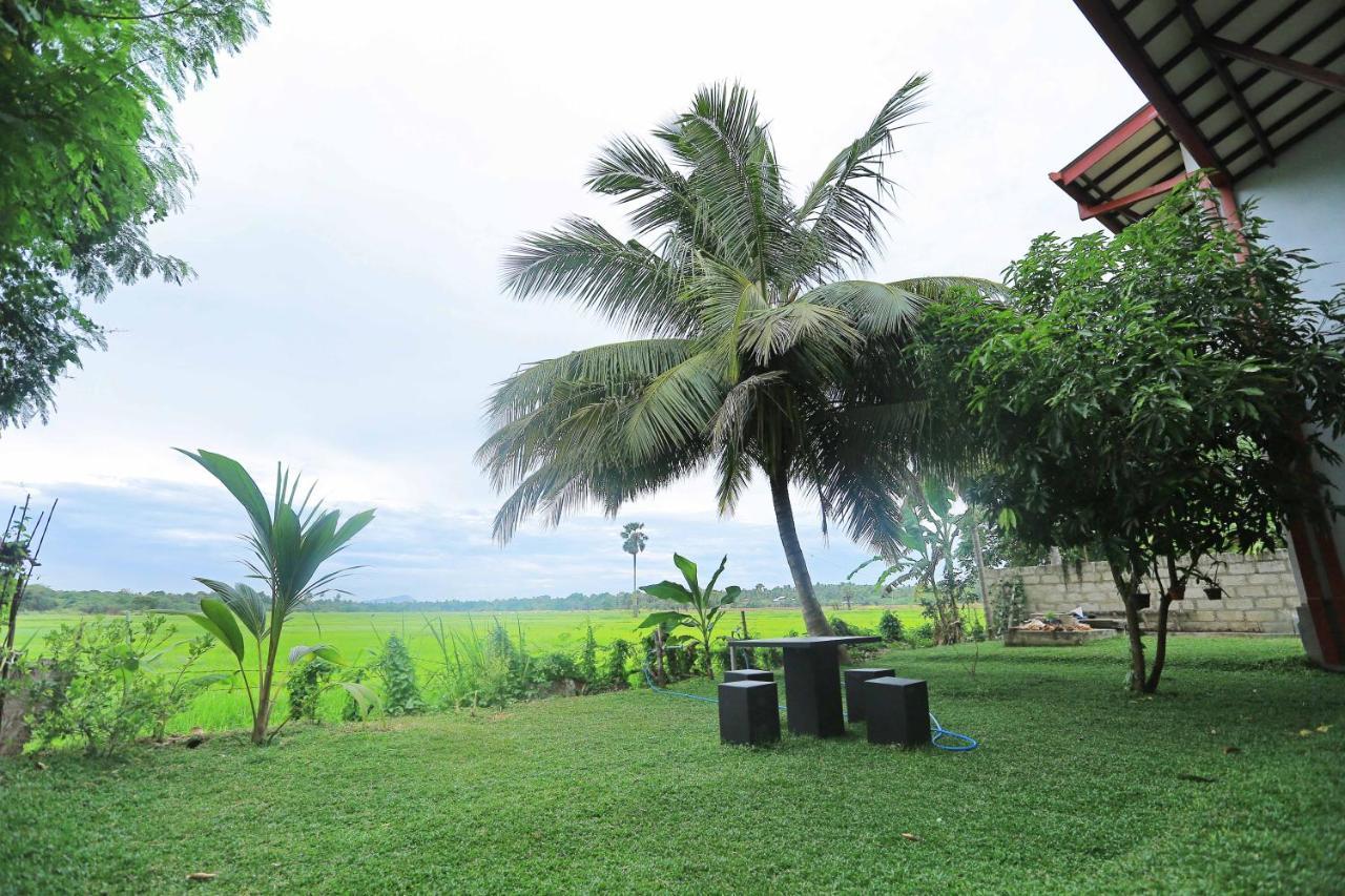Hotel Serene View Tourist Rest à Anurâdhapura Extérieur photo